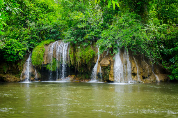 istock Stream in the tropical forest. 972296094