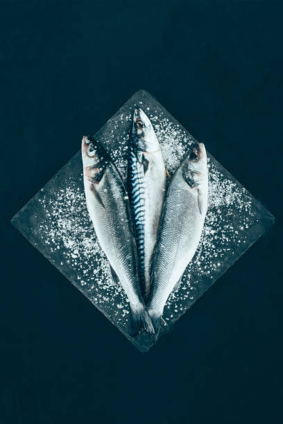 top view of fresh raw mackerel and sea bass on slate board isolated on black