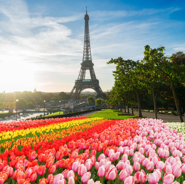 istock eiffel tour and from Trocadero, Paris 972298338