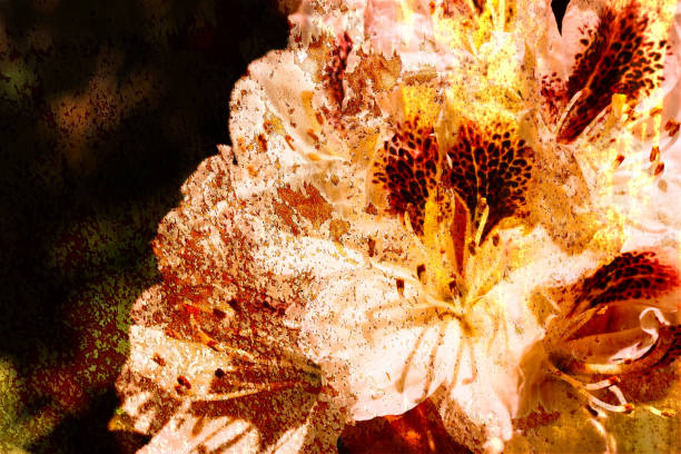 istock Floral background, azalea 972298824