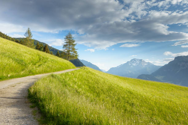 mountain bike trail through a mountain meadow with mountain in the background - cycling european alps mountain bike zillertal imagens e fotografias de stock