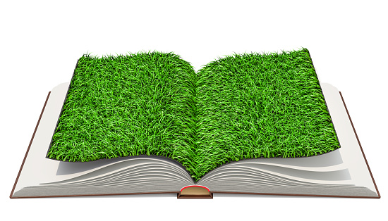 open book with pages illustrated by a green nature and a serene and ecological environment