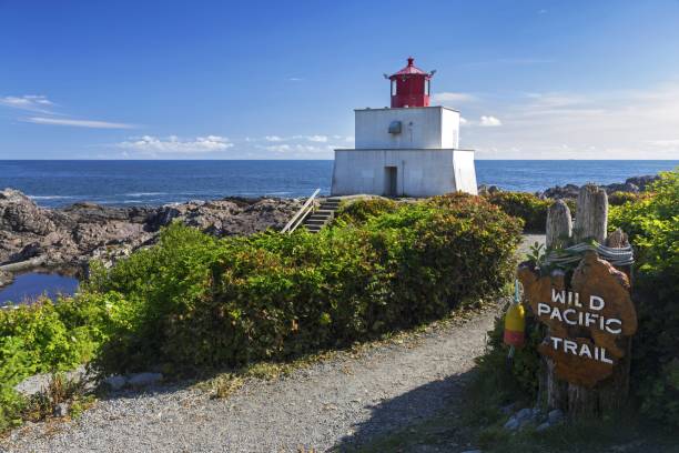 istock Wild Pacific Trail and Amphitrite Point Lighthouse on Vancouver Island 972334300