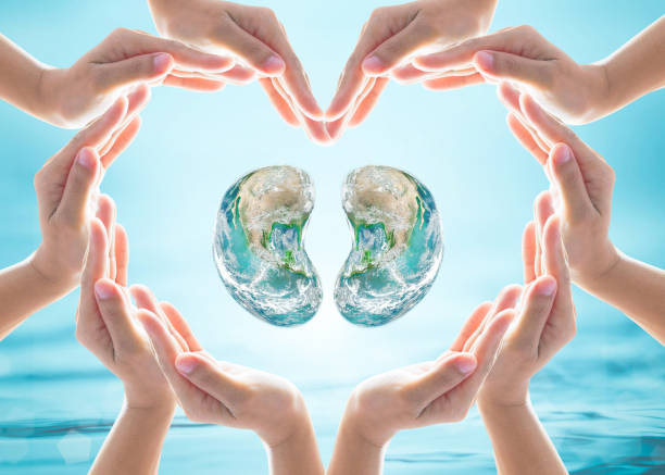 World Kidney Day design logo concept idea: Love heart shape symbolic sign of women human hands on blur blue turquoise clean aqua water background: Element of this image furnished by NASA World Kidney Day design logo concept idea: Love heart shape symbolic sign of women human hands on blur blue turquoise clean aqua water background: Element of this image furnished by NASA human kidney stock pictures, royalty-free photos & images