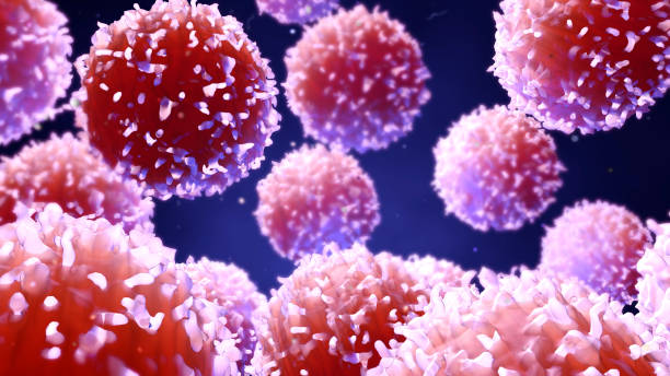 istock Lymphocytes, t cells or cancer cells 972352526