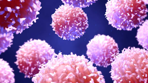 istock Lymphocytes, t cells or cancer cells 972352534