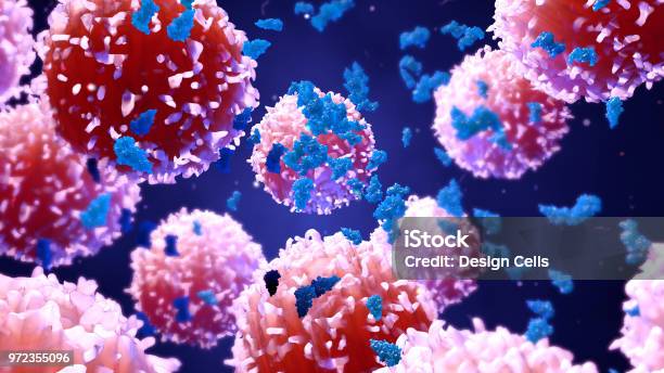 Lymphocytes T Cells Or Cancer Cells Stock Photo - Download Image Now - Cancer Cell, Oncology, Biological Cell
