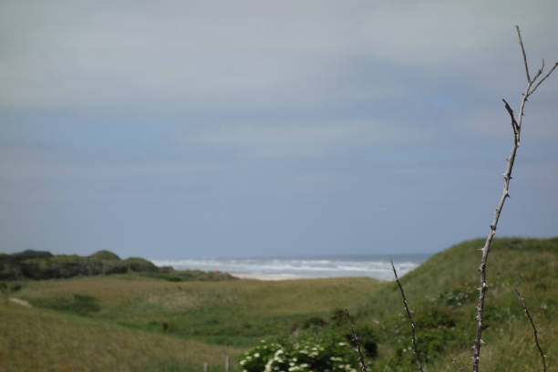 istock the island juist 972364824