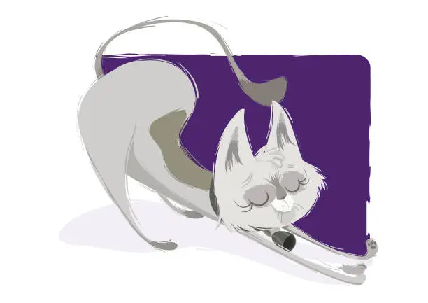 Vector illustration of The Lazy Cat