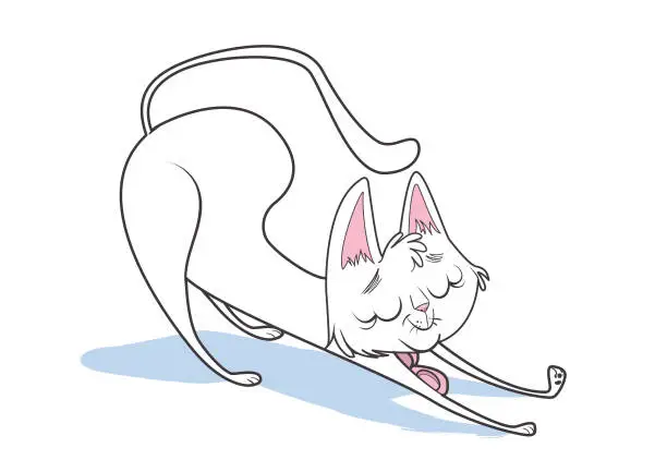 Vector illustration of The white cat
