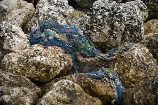 istock Old rope on rocks on Boracay island, the Philippines 972372232