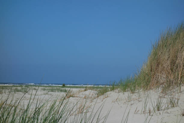 istock the island juist 972400588