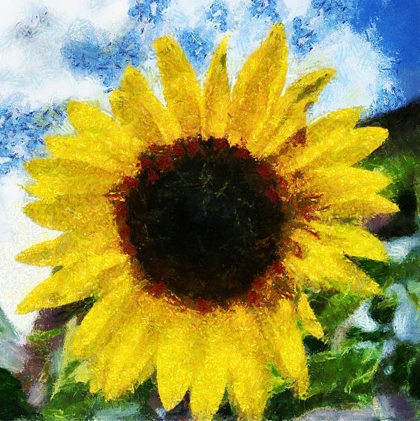 istock Illustration of a sunflower 97244030