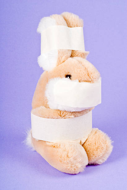 stuffed bunny bondage