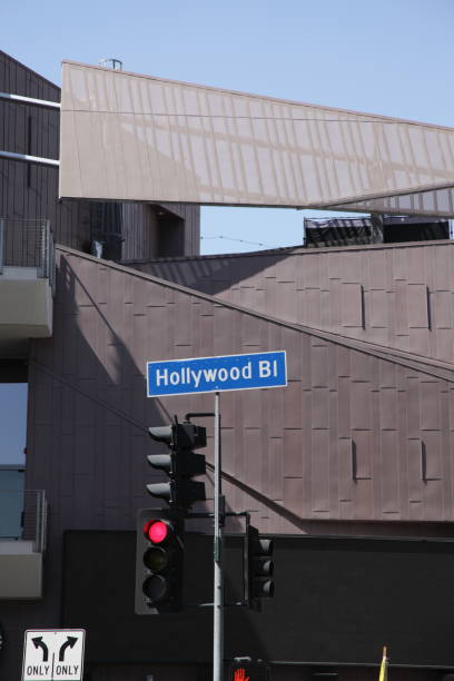 istock Hollywood Blvd Sign 972458906