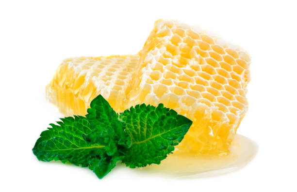 istock Honey with mint on a white background. 972463484