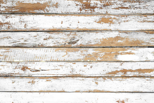 istock wooden plank painted in white 972473034