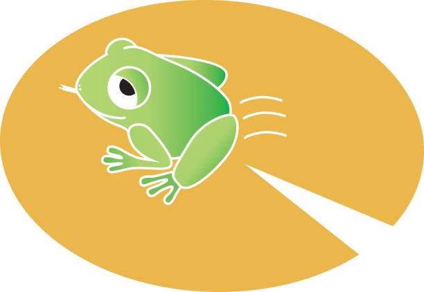 개구리 - frog jumping pond water lily stock illustrations