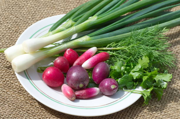 istock Fresh greens and radishes on a plate 972487266