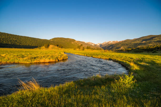 moraine park und der big thompson - big thompson river stock-fotos und bilder