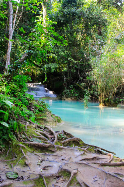 istock Kuang Si Waterfall, Luang prabang, Laos 972498174
