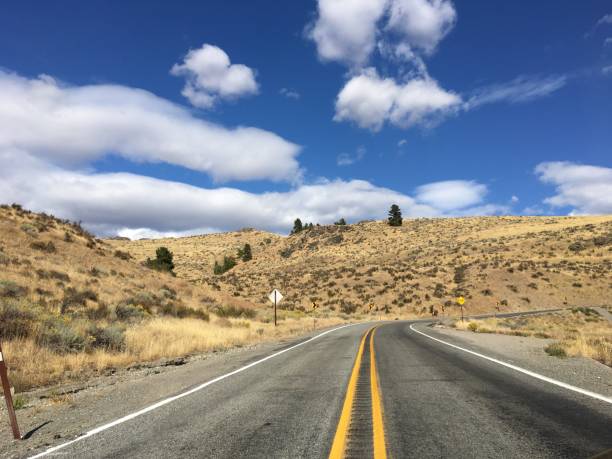 Winding road through shrubland in eastern Washington