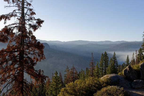 istock Smoky meadow in Yosemite National Park 972509308