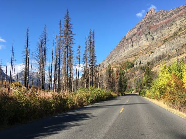 istock Going to the sun road, Glacier National Park 972509448