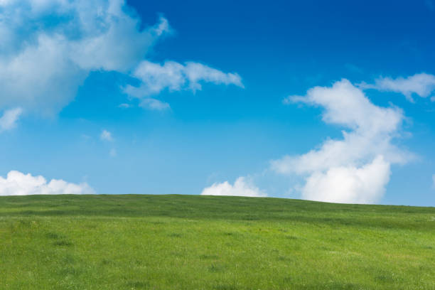 istock Rolling green hills and blue sky with clouds 972509800