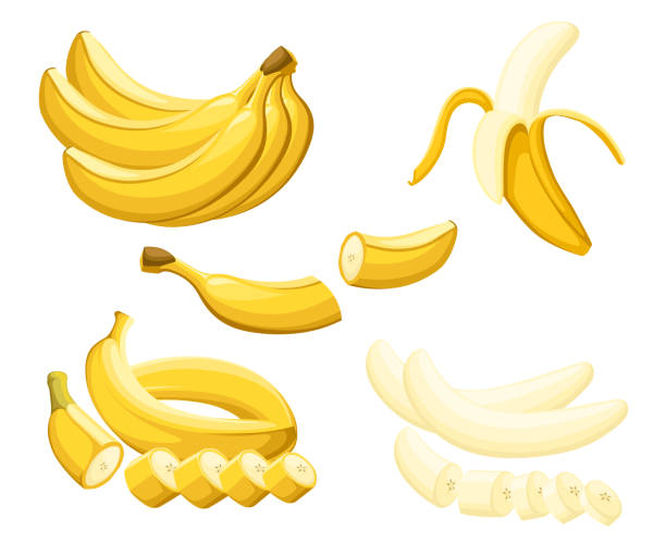 ilustraciones, imágenes clip art, dibujos animados e iconos de stock de plátano y rebanadas de plátanos. ilustración de vector de plátanos. vector ilustración para cartel decorativo, producto natural de emblema, mercado de agricultores. página web y diseño de aplicaciones móviles - smooth part of colors yellow