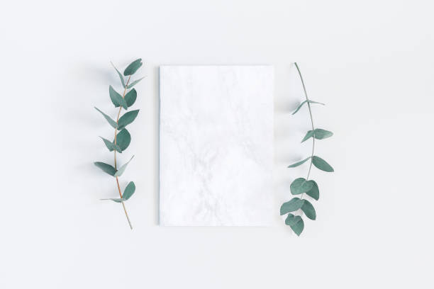 istock Marble paper blank, eucalyptus branches. Flat lay, top view 972517444