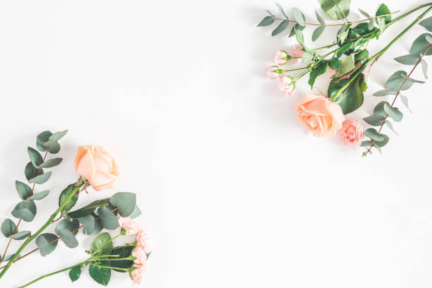 istock Rose flowers and eucalyptus branches on white background 972523218