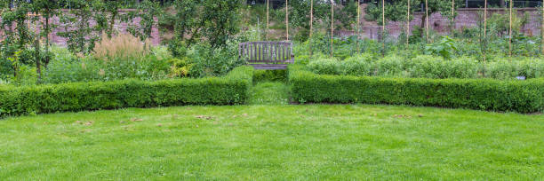 istock Web banner Urban vegetable garden 972523520