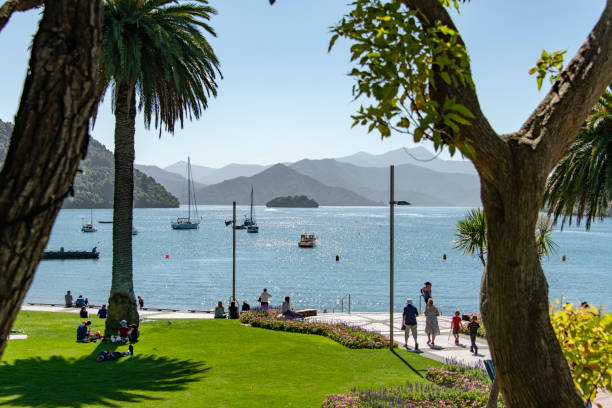 Picton beach People relaxing at the beach in the city of Picton, New Zealand, during a hot summer day. picton new zealand stock pictures, royalty-free photos & images