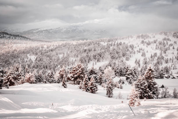 istock Ski centre, Stryn in Norway (winter morning) 972553200