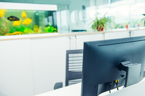 Focused computer monitor with blurred background of aquarium with yellow fish in white open space office interior. Workplace concept. Business workspace. Selective fcous, space for text