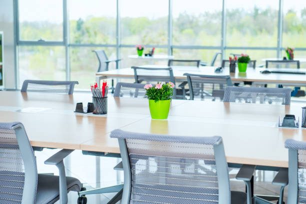 istock Interior of modern light empty open space office with big windows, table desks, chairs and green plants. Coworking workplace concept. Minimalism business style. Copy space. Selective focus. 972565778