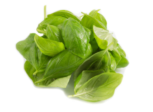 istock Fresh organic basil, pesto leaves isolated on white background, Top view. 972570026