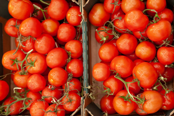 istock Tomatoes in boxes on the store shelf. 972573276