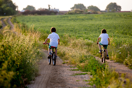 Sporty children, boy brothers, riding bikes on a rural landscape together on sunset