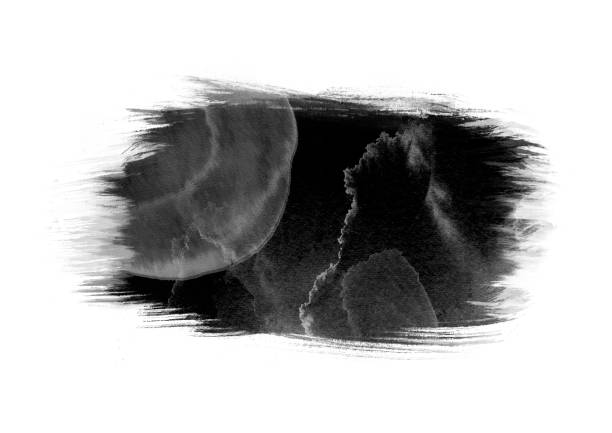 istock Black water color patches graphic brush strokes design effect element for background 972581344