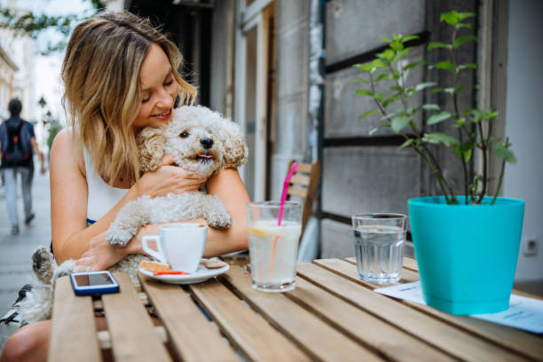 istock Young women in pet friendly cafe 972584170
