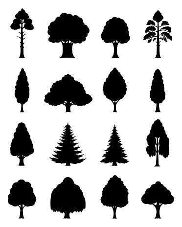 Vector different types of trees silhouettes isolated on white.