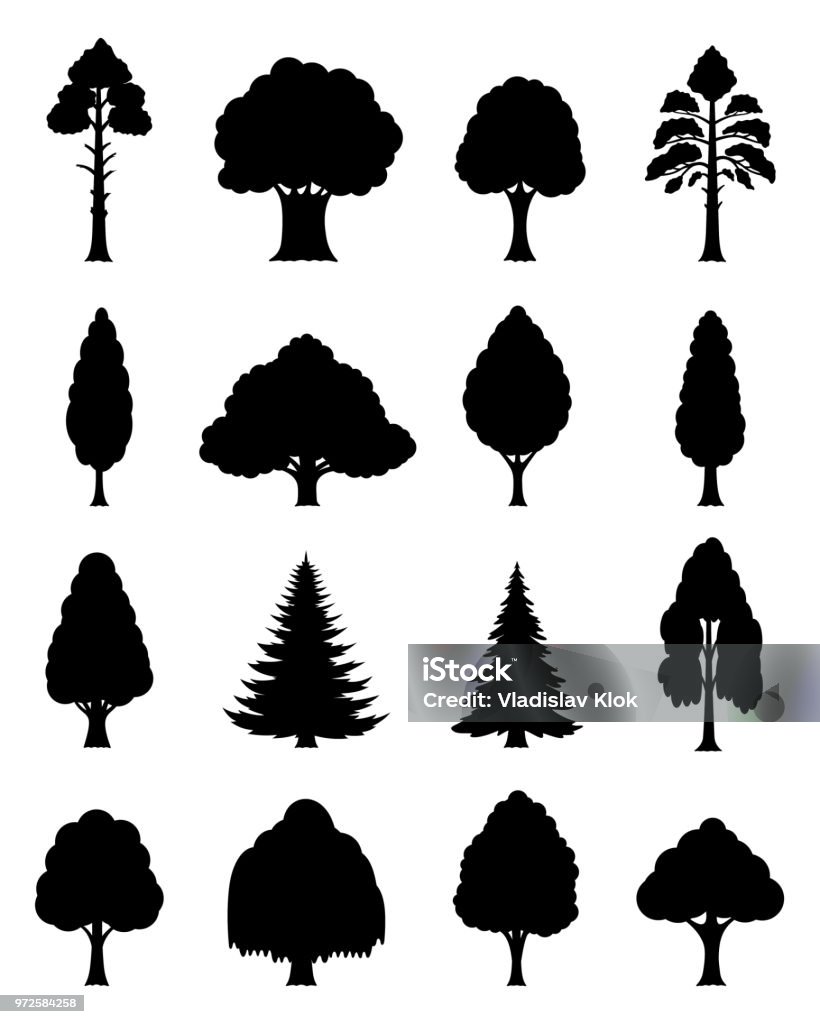 Vector  trees icons Vector different types of trees silhouettes isolated on white. Tree stock vector