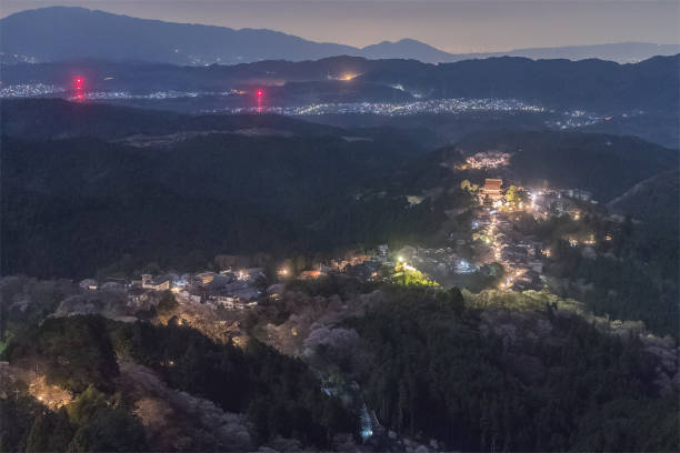 istock Yoshinoyama sakura cherry blossom 972584962