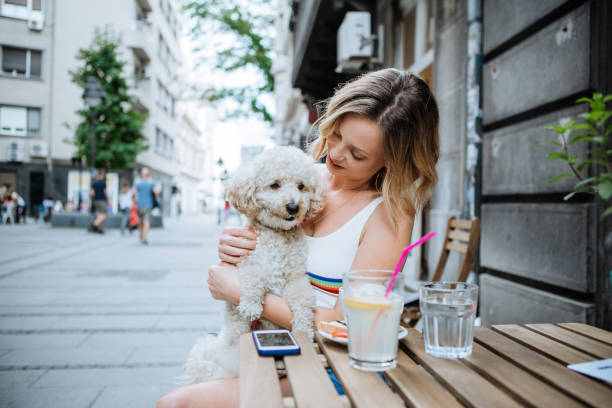 istock Young women in pet friendly cafe 972590712