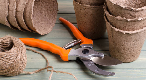 istock Gardening tool. Pruning shears for trimming bushes 972593344