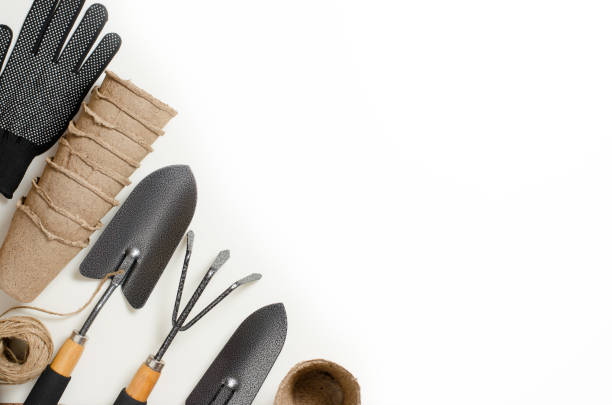 istock Garden tools and gloves on a white background. Space for text 972593548