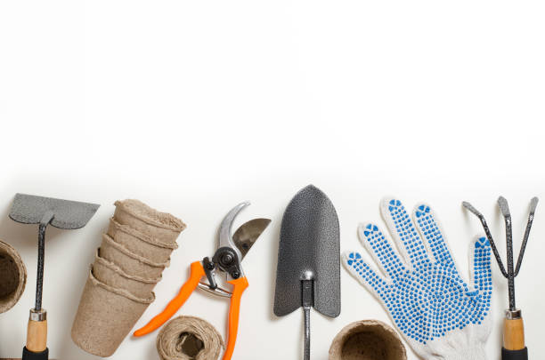istock Garden tools and gloves on a white background. Space for text 972593550
