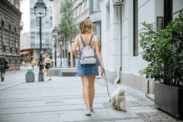 istock Two friends in relaxing walk 972593786